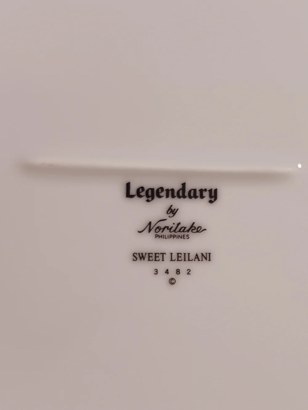 Noritake Legendary Sweet Leilani 3482 Oval Platter Platnium Rim